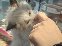 -佛山京华广场MALL