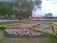 iphone_upload_pic-石家庄市植物园