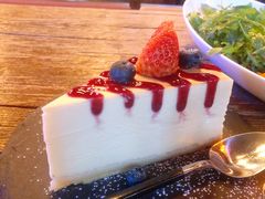-Boxing Cat Brewery拳击猫精酿啤酒馆(永福店)