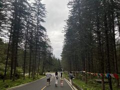 -硗碛藏寨·神木垒景区