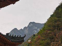 -秦岭天竺山生态文化旅游景区