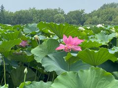 -云龙湖旅游景区
