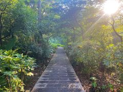 -福清灵石山国家森林公园