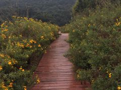 -广州市石门国家森林公园