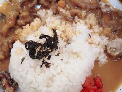 -犀牛家猪排