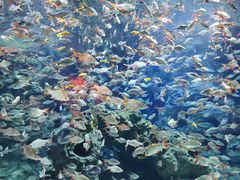 -成都浩海立方海洋公园