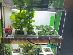 -艾克瑞特机器人教育(金狮校区)