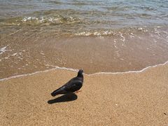 -海云台海滩