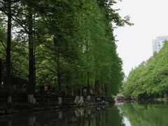 -运河游船(武林门码头)