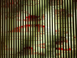 -杭州临平万丽酒店·万丽厅·宴会厅