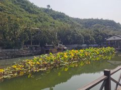 -荷塘味道(水长城店)