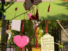 -福成自助烤肉(双桥万达店)