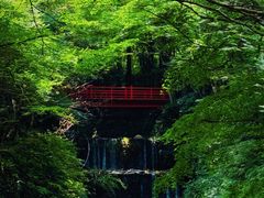 -三千院