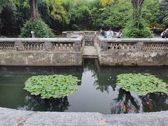 -习家池
