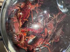 -星伦多自助料理(花山金鹰店)