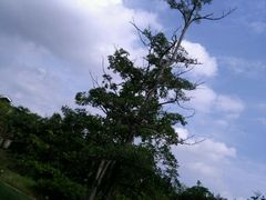 -三亚珠江南田温泉度假区