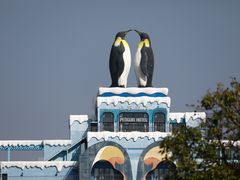 -珠海长隆海洋王国