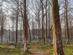 -西溪国家湿地公园