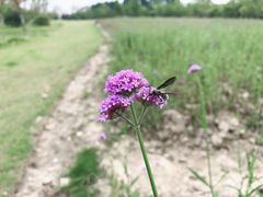 -杭州城北体育公园