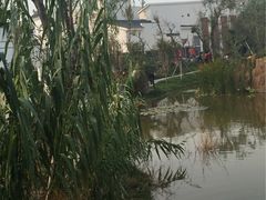 -武清南湖绿博园