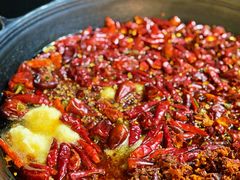 红汤锅底-肥龙火锅(南坪店)