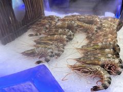 -九月海·海鲜自助(世纪东方店)
