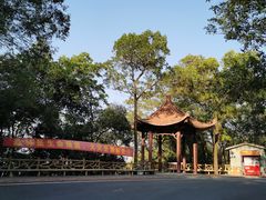 -大屏嶂森林公园