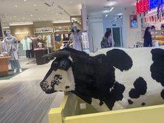 -红星前进面包牛奶公司(君太店)