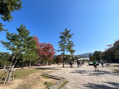 -奈良公园