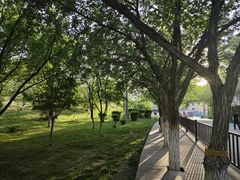 -鲤鱼山公园