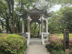 -江心屿景区