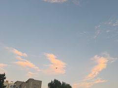 -木塔寺遗址生态公园