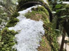 -西岭雪山大飞水景区