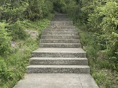 -巢湖姥山岛