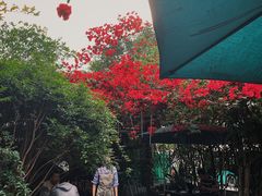-豆舞咖啡(民乐路店)