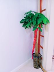 -安琪儿妇产医院·医养月子中心