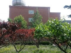 android_upload_pic-北京市海淀外国语实验学校