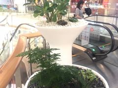 -深圳龙华星河COCO City(民治店)