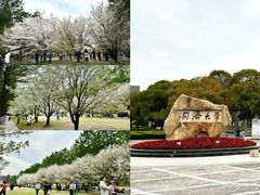 -同济大学(嘉定校区)