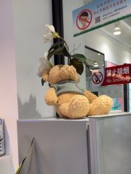 -LJOY丽锦造型·烫发染发