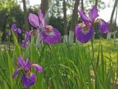 -南通濠河风景名胜区