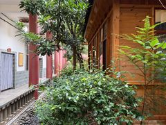 -九溪蒋记菌子宴