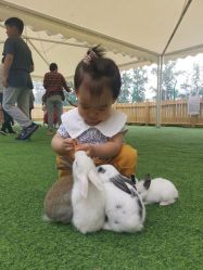 -萌宠亲子动物乐园(槐房万达店)