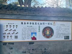 -护国法轮寺