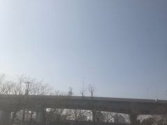 -共青国家森林公园-南大门停车场