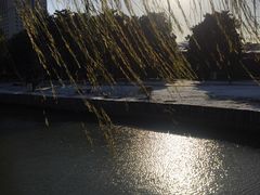 -中央公园(苏州工业园区)