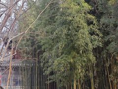 -潭柘寺景区