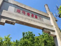 -紫金山山顶公园