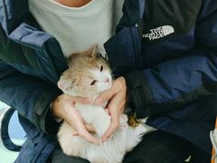 -北京观赏动物医院·24小时大型综合·猫专科·异宠专科