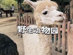 -上海野生动物园